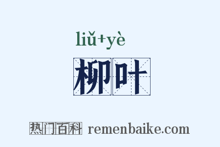 柳叶是什么意思的图片